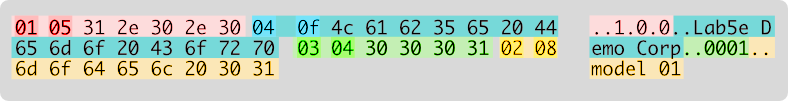 Report packet structure