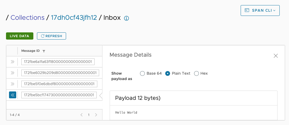 Inspect payload